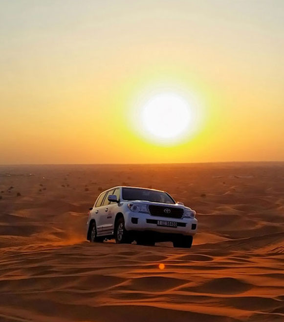 Evening Desert Safari